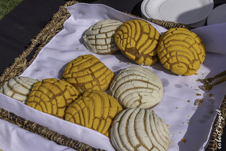 events 2026 - patricia koren celebration